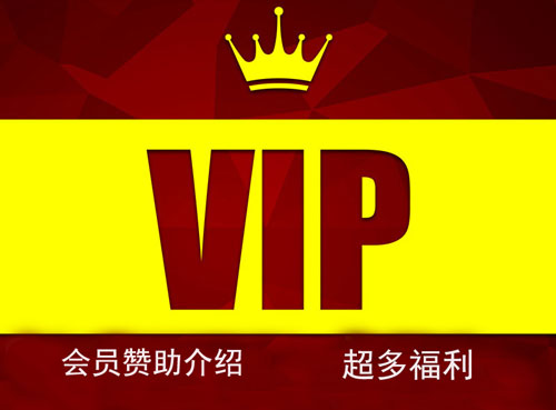 本站会员赞助方法及游戏资源介绍插图