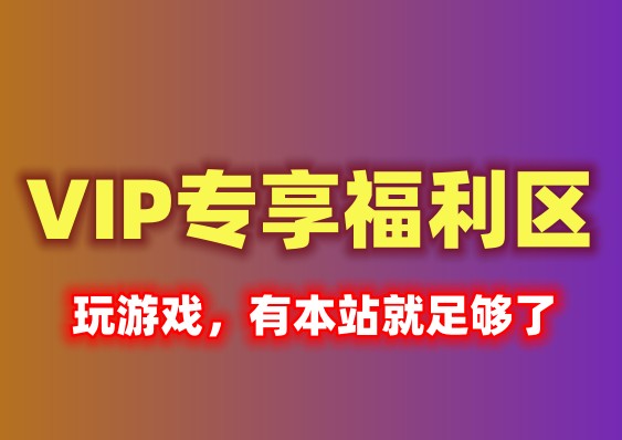 本站VIP会员专享福利介绍插图